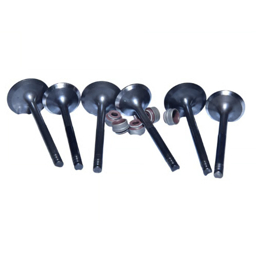 COMP VALVE KIT 02 ENGINE VALVE KIT (P5106054) ASHOK LEYLAND DOST - Image 1