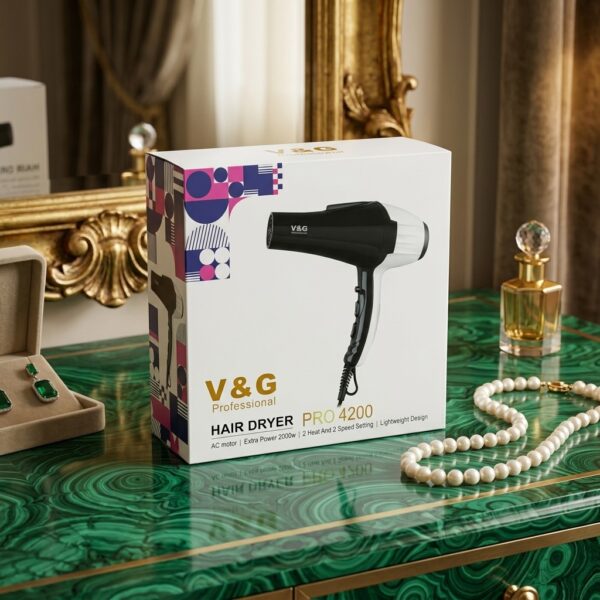 V & G Professional Hair Dryer PRO 4200